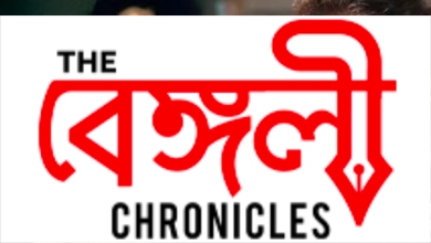 the kashmir files