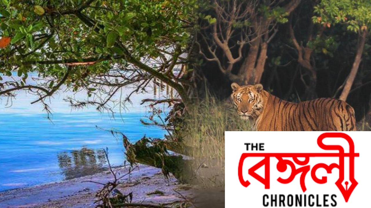 travel in west bengal