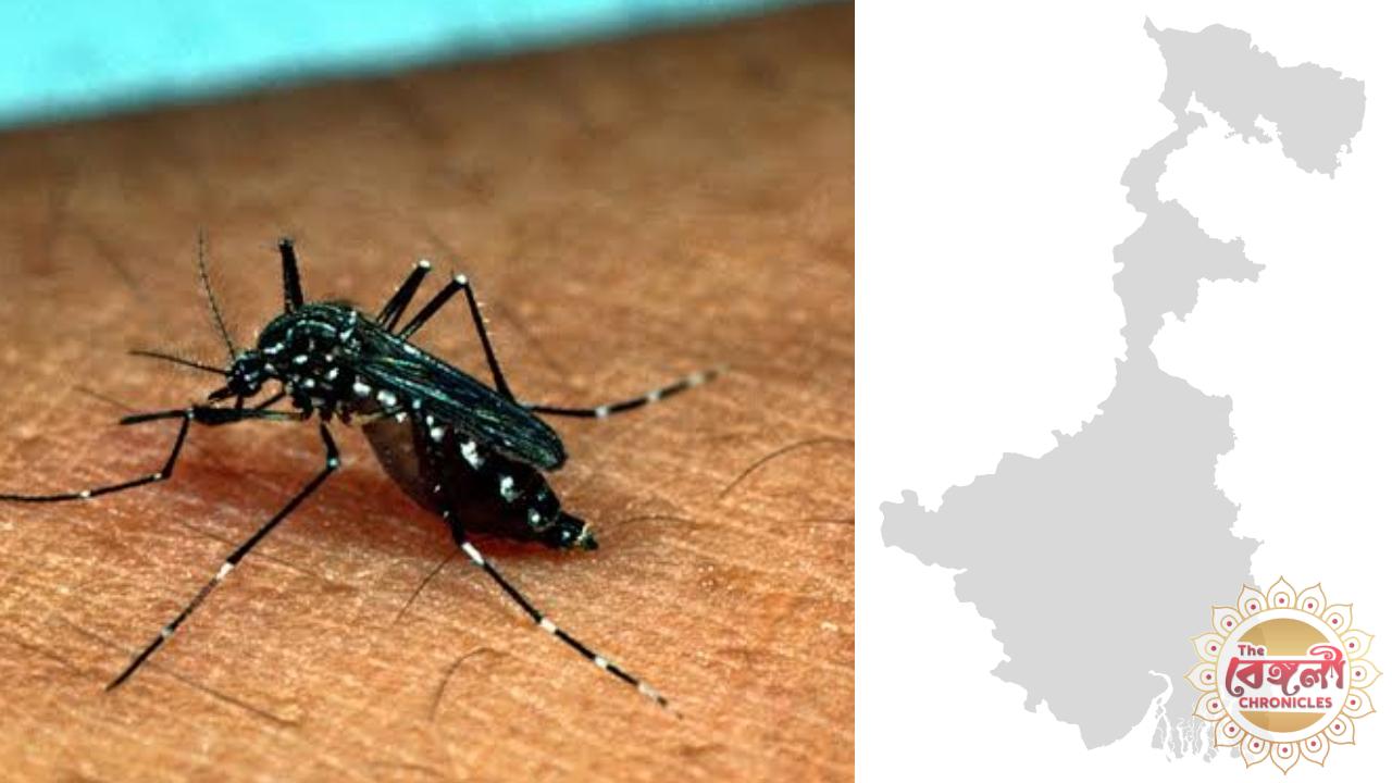 Mamata Banerjee West Bengal Legislative Assembly,dengue