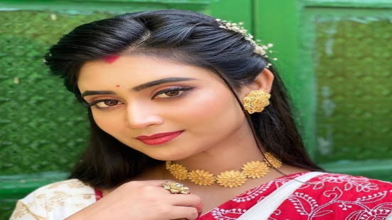 Zee Bangla,Bengali serial,Ankita Mallick,Jagaddhatri,Mahalaya,Durga Puja 2023