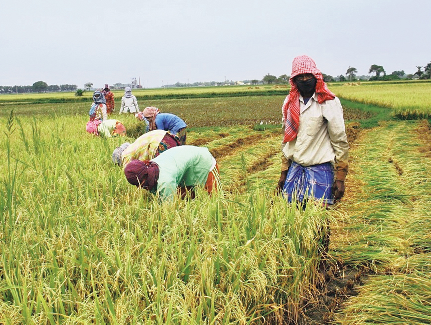 PM Kishan Samman Nidhi Yojana,Farmer