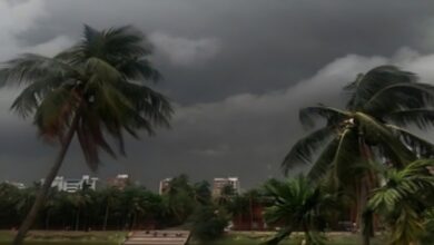 Weather,Bengal,North Bengal,South Bengal