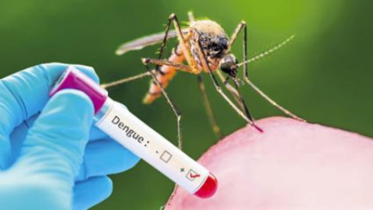 Hooghly,Dengue in Hooghly,dengue fever,minister becharam manna,DM of Hooghly