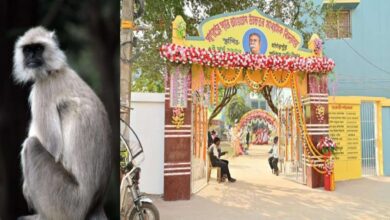 Monkey,west Midnapore,daspur High school,Daspur
