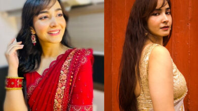 Bollywood,Webseries,Netflix,Upcoming Series,Srijala Guha