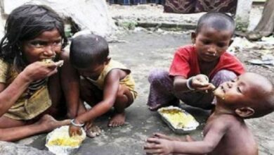 Global Hunger Index 2023,India,Food,Malnutrition of children