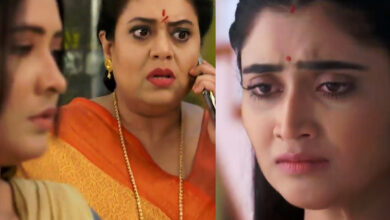 Zee Bangla,Jagaddhatri Serial,Bengali Serial,Serial Update