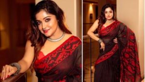 কলকাতা,ষষ্ঠী থেকে দশমী,ট্র্যাডিশনাল,শাড়ি