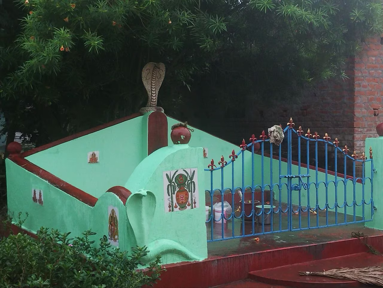 Bankura News,snake village of bankura,photo gallery,west bengal snake village,bankura