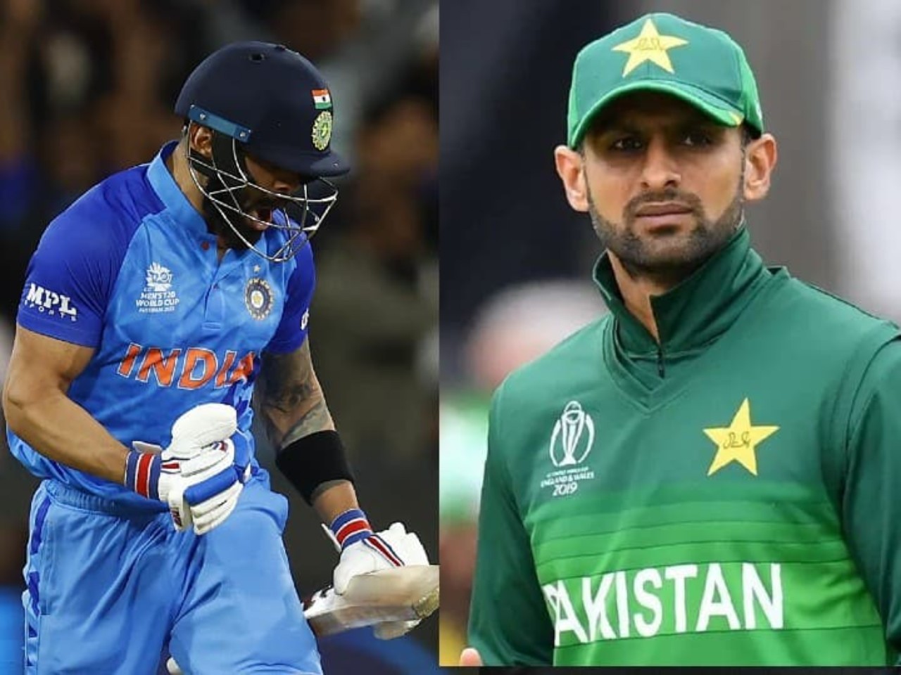 icc odi world cup,icc odi world cup 2023,india vs pakistan,virat kohli,sohaib malik,আইসিসি ওডিআই বিশ্বকাপ,আইসিসি ওডিআই বিশ্বকাপ ২০২৩,ভারত বনাম পাকিস্তান,বিরাট কোহলি,শোয়েব মালিক,India,Iccworldcup2023,Team India,Troll,Cricket