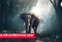 Elephant in marriage ceremony,elephant attack in malbazar,elephant in malbazar guesthouse,elephant in dooars,elephant attack today,elephant in dooars today,elephant eats food from marriage ceremony,forest department,malbazar forest department
