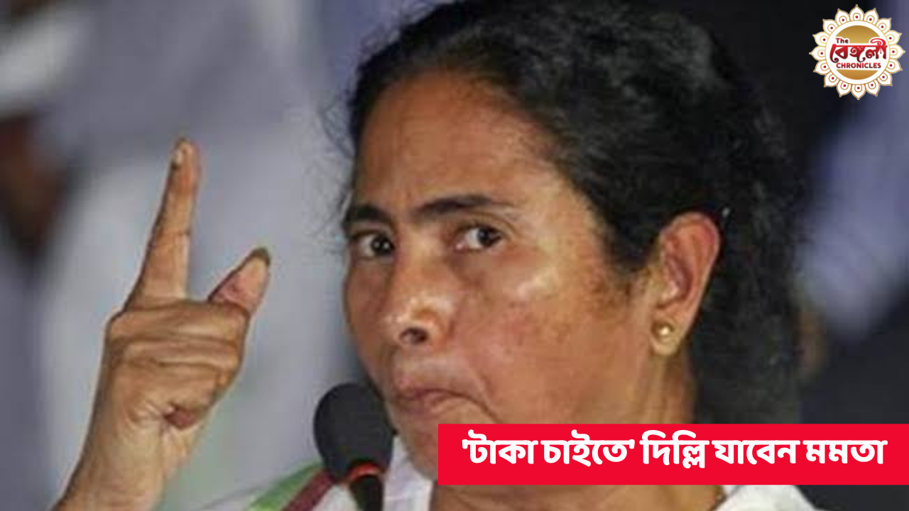 Mamata Banerjee,Narendra Modi,Delhi,Mamata Banerjee in Delhi,Mamata Banerjee meets Narendra Modi,DMK,Congress,North Bengal,Meeting,West Bengal,New Delhi