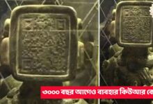 QR code,scientists,hidden treasure,QR code before 3000 years,3000 year old qr code,scientist discover qr code,old age,old age qr code